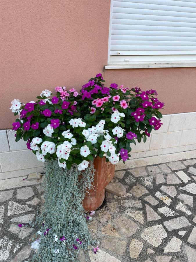 Отель Apartman Jukic Марина Экстерьер фото